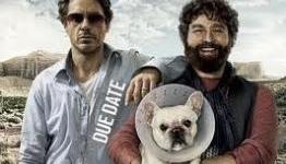 Due Date Clips: Zach Galifianakis Eats Breakfast And Buys Weed