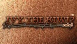 Wiiloveit.com: Ivy the Kiwi? Mini – DSiWare Review