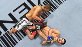 THQ looks to its fans for help on the next UFC Undisputed title