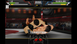 TheAppera: MMA Review