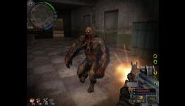 Stalker 2 comes with Female Stalkers – PC is the Favorite Platform