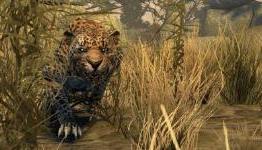 PS3Vault Review: Cabela’s Dangerous Hunts 2011