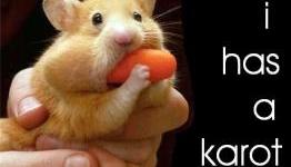 Chasing the Carrot – A Look at Addictiveness in Gaming
