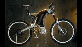 M55 Electric Bike