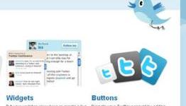 Chinese woman punished over tweet