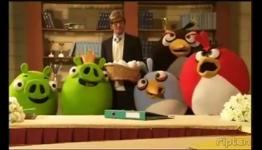 Angry Birds Attempt Peace Treaty With Pigs