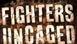 Britxbox: Fighters Uncaged Review