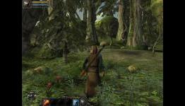 GameZebo – Aralon: Sword and Shadow Preview