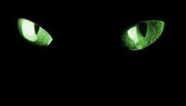 Is Your Videogame Machine Watching You?