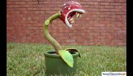 Piranha Plant in your garden