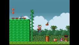IGN: Super Mario All-Stars Limited Edition Video Review