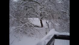 Tasteless Gamer: Winter Gaming