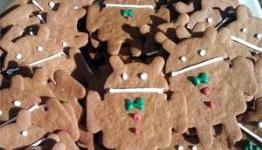 How to flash AOSP Gingerbread to the Nexus One