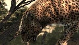 Movemodo review: Cabela’s Dangerous Hunts 2011 (PS3 / PlayStation Move)