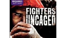 123 KINECT – Fighters Uncaged Review