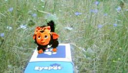 El33tonline Review: EyePet