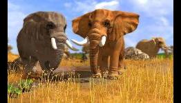 Koch Media Sign Publishing Agreement with bitCOMPOSER Games