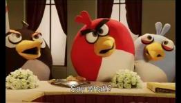 Angry Birds Series Coming Soon
