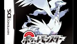 Visiting The Gym In Pokémon Black/White’s Hiun City