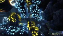 OXM UK: The UnderGarden Review