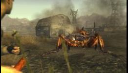 Bugs, Patches And Pachter