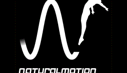 NaturalMotion Games Founding New London Mobile Dev Studio
