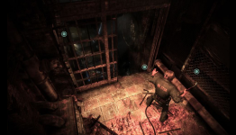 New Silent Hill Downpour Details
