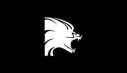 Lionhead wants to hear your thoughts on Fable