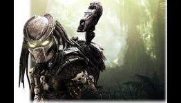 Xbox Live: Aliens vs Predator and Bayonetta make an appearance