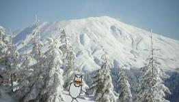 3 Winter Sports Games That Would Rock If Combined