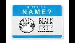 What’s in a Name: Black Isle Studios