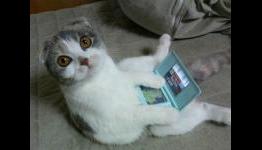 Nintendo – “3DS Almost Didn’t Have 3D”