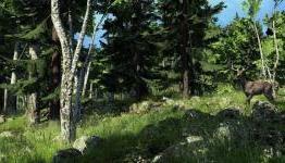 theHunter: 500,000 registered players hunted down.