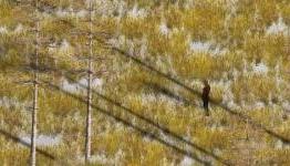 A Valley Without Wind: Multiplayer, The World Map, Regions, and Windstorms