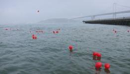 THQ and Gamestop Pollute San Francisco Bay – No Gamer Left Behind
