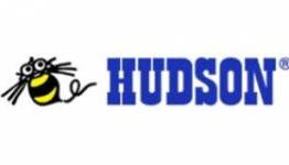 Hudson Restructures For Social Games Focus