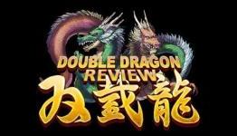 Double Dragon iPhone Review (GameBlurb)