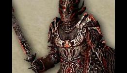 The 5 Best Armors in Oblivion