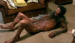 Werewolf Movies That Are Better Than Red Riding Hood On Netflix