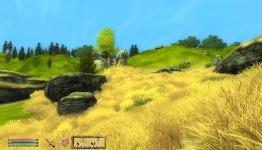 GAMES on the CHEAP!: Elder Scrolls – Oblivion
