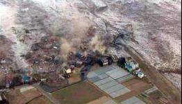 Zynga Allows Gamers to Play and Donate to the Japan Earthquake Tsunami Children Emergency Fund