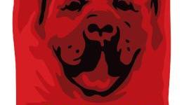 Like Mastiff on Facebook to help Japan relief