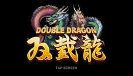 Denkiphile: Double Dragon Review