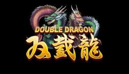 Review: Double Dragon (iPhone)