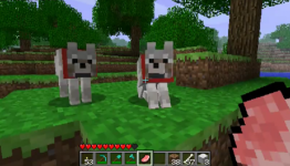 Minecraft is Getting Wolves – Adorable, Deadly Wolves