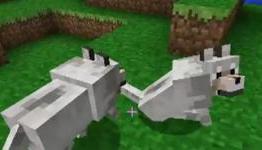 Eat that cow! Good boy! Minecraft gets pet wolves
