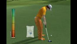 Tiger Woods 12 Balance Board Swing Comparison