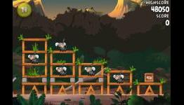 Pocket Gamer: Angry Birds Rio Jungle Escape 3-star, fruit video walkthrough
