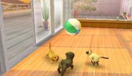 Nintendogs + Cats Review-CheatCC