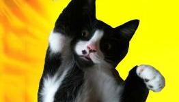 Crysis 2 Ban Hammer Coming Down to Squash Exploiters
